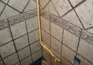 燃?xì)夤艿栏脑? src=